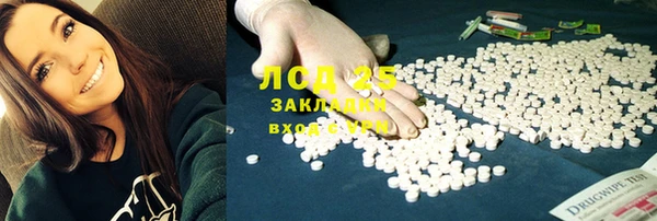 стафф Алзамай